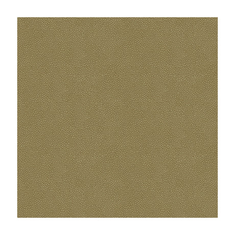 KRAVET DESIGN PIETRA.11.0 KRAVET DESIGN PIETRA-11 Fabric - Eade's Wallpaper