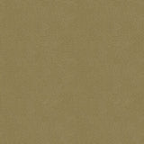 KRAVET DESIGN PIETRA.11.0 KRAVET DESIGN PIETRA-11 Fabric - Eade's Wallpaper