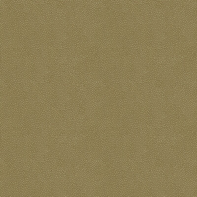 KRAVET DESIGN PIETRA.11.0 KRAVET DESIGN PIETRA-11 Fabric - Eade's Wallpaper