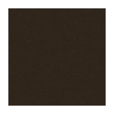 KRAVET DESIGN PIETRA.66.0 KRAVET DESIGN PIETRA-66 Fabric - Eade's Wallpaper