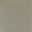 STOUT PITC-1 PITCHER 1 GRAPHITE Fabric - Eades Wallpaper & Fabric
