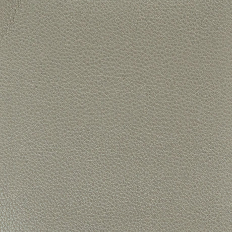 STOUT PITC-1 PITCHER 1 GRAPHITE Fabric - Eades Wallpaper & Fabric
