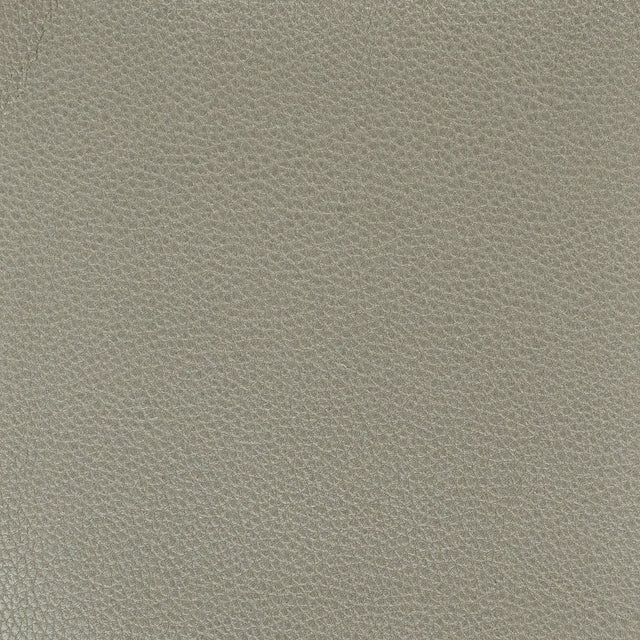 STOUT PITC-1 PITCHER 1 GRAPHITE Fabric - Eades Wallpaper & Fabric