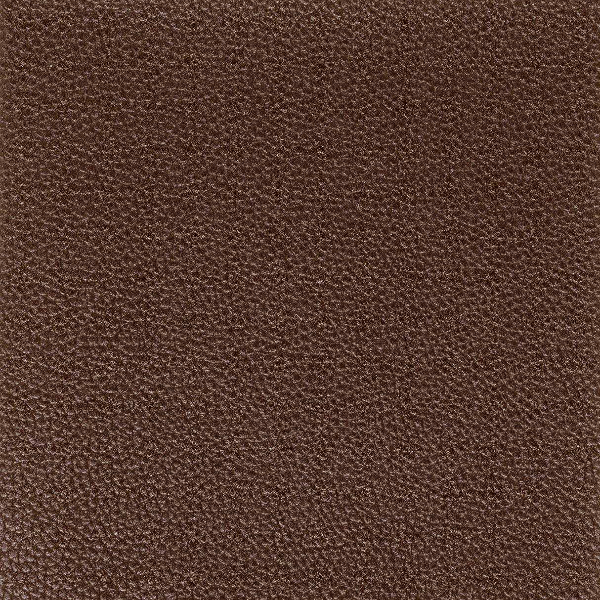 STOUT PITC-2 PITCHER 2 ESPRESSO Fabric - Eades Wallpaper & Fabric
