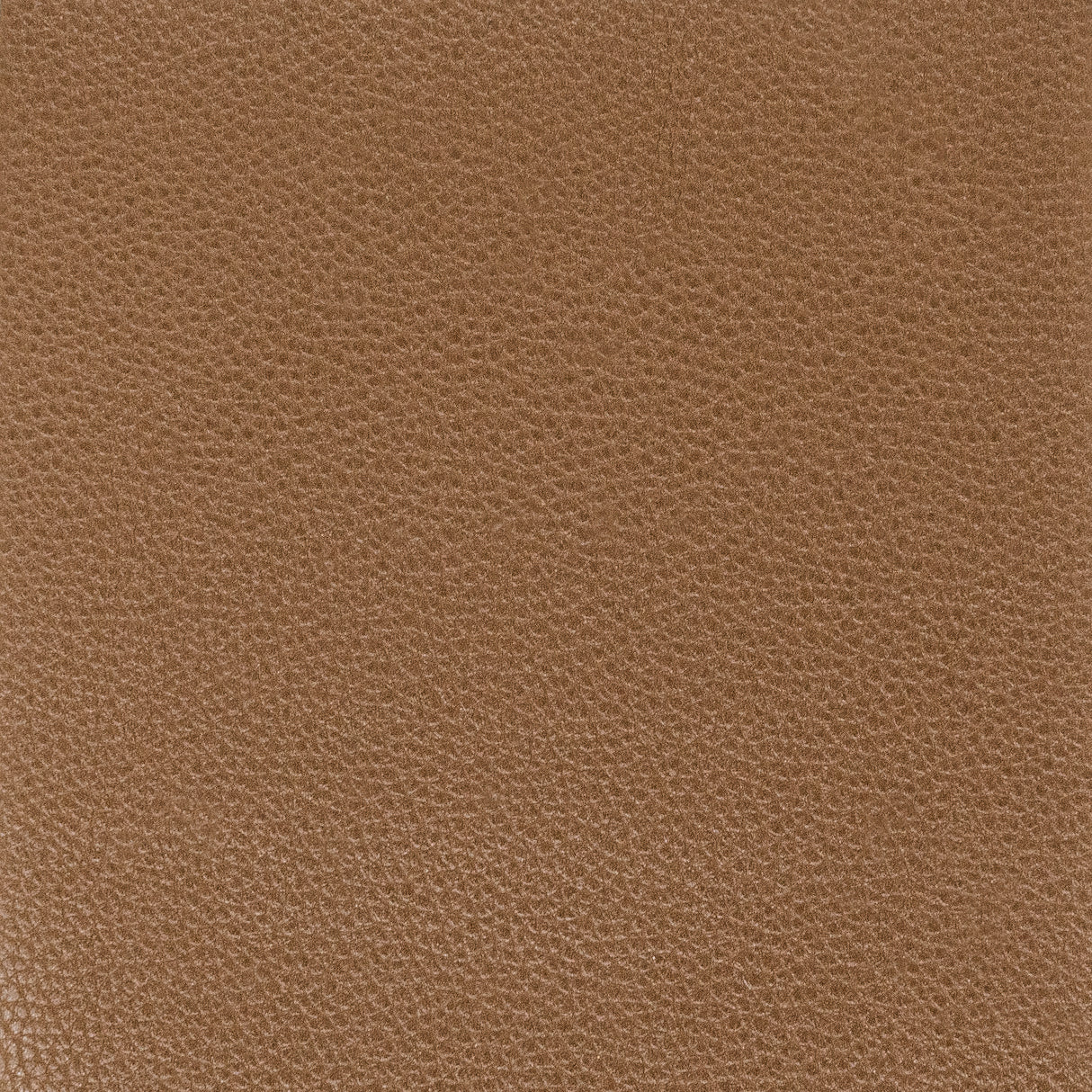STOUT PITC-4 PITCHER 4 BARK Fabric - Eades Wallpaper & Fabric