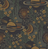 Pip & Lo PLS4207 Smoke Ethereal Cosmos Peel & Stick Wallpaper