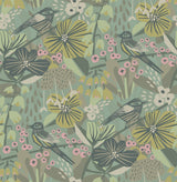 Pip & Lo PLS4217 Sage Jaybird Peel & Stick Wallpaper