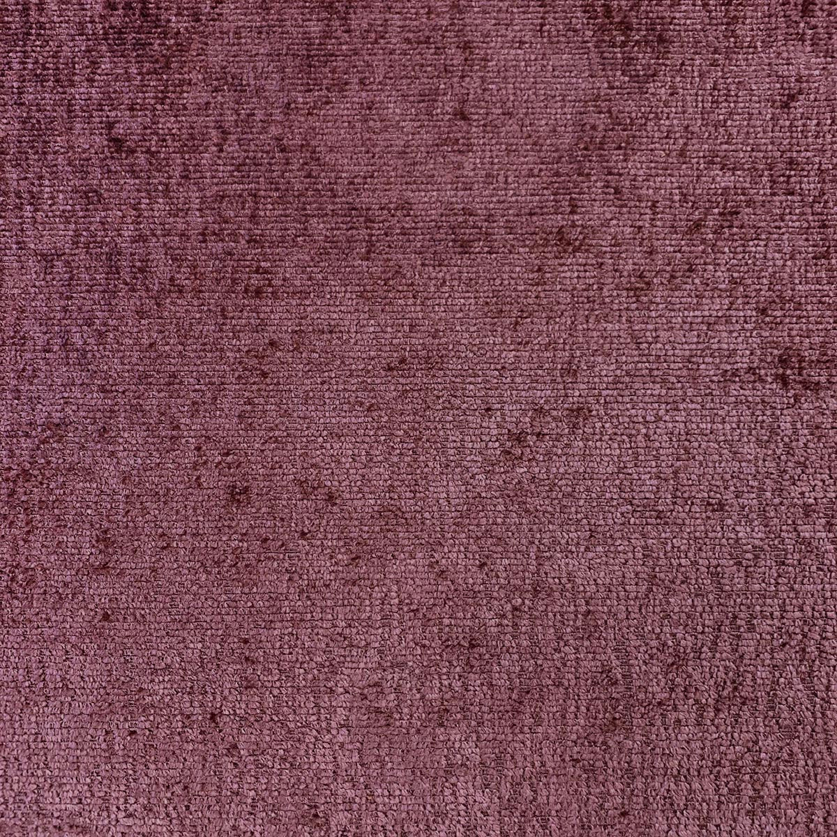 Eade’s PLUSH PLUM PLUM