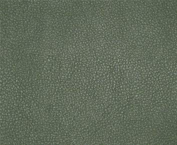 Eade’s # 015 JALAPENO