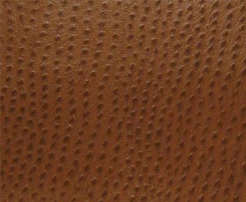 Eade’s # 010 OUTBACK