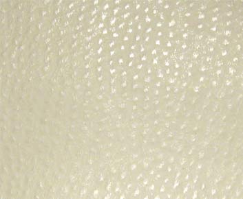 Eade’s # 012 SNOWFLAKE