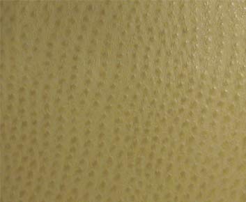 Eade’s # 013 WILLOW