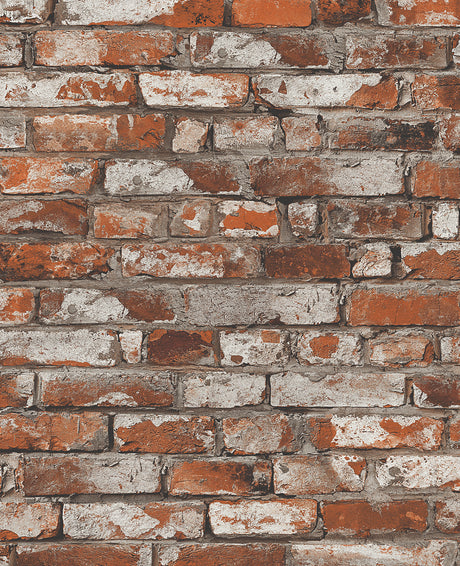 Seabrook Designs PR12201 Wallpaper - Eade's Wallpaper & Fabric