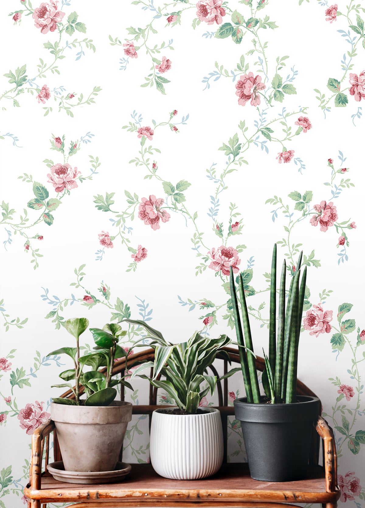 Seabrook Designs PR13301 Wallpaper - Eade's Wallpaper & Fabric