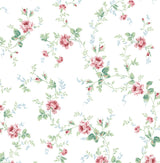 Seabrook Designs PR13301 Wallpaper - Eade's Wallpaper & Fabric