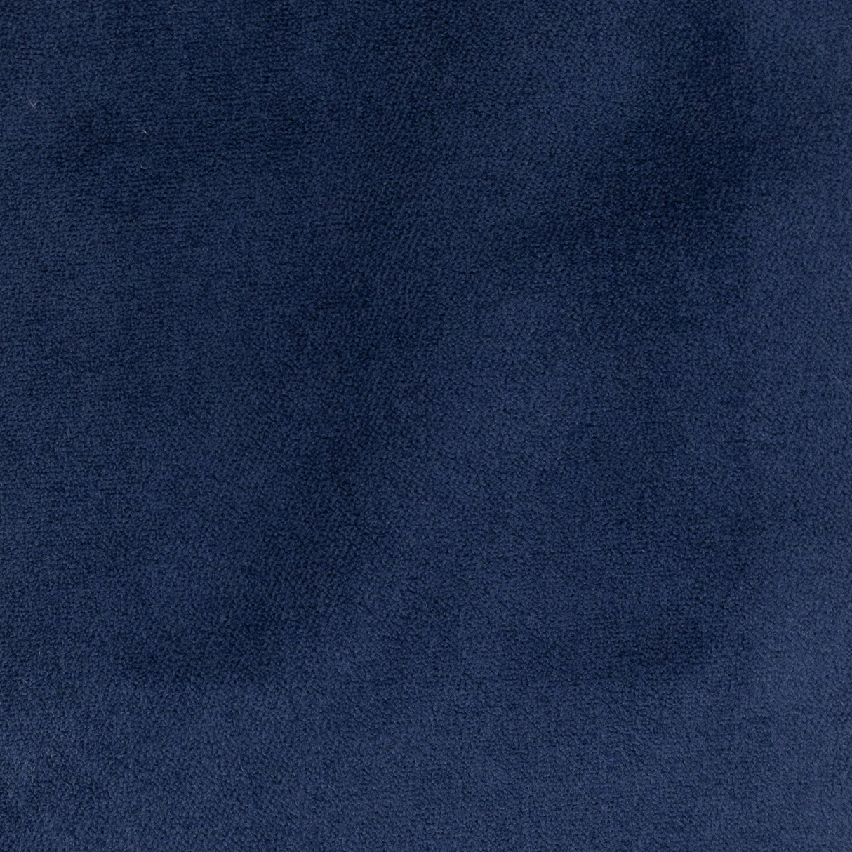STOUT PREM-8 PREMIER 8 ROYAL Fabric - Eades Wallpaper & Fabric