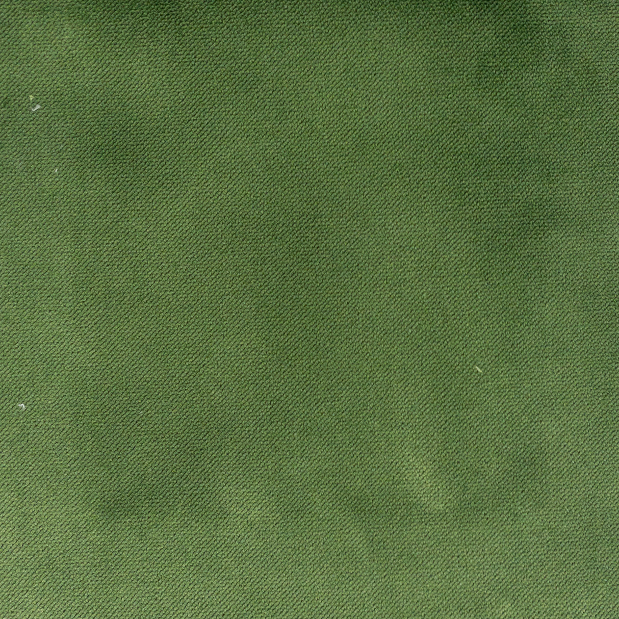 STOUT PREM-9 PREMIER 9 GRASS Fabric - Eades Wallpaper & Fabric