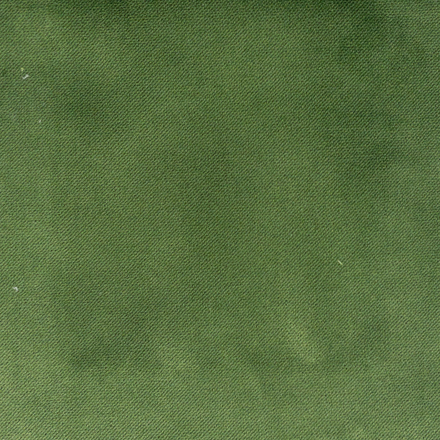 STOUT PREM-9 PREMIER 9 GRASS Fabric - Eades Wallpaper & Fabric
