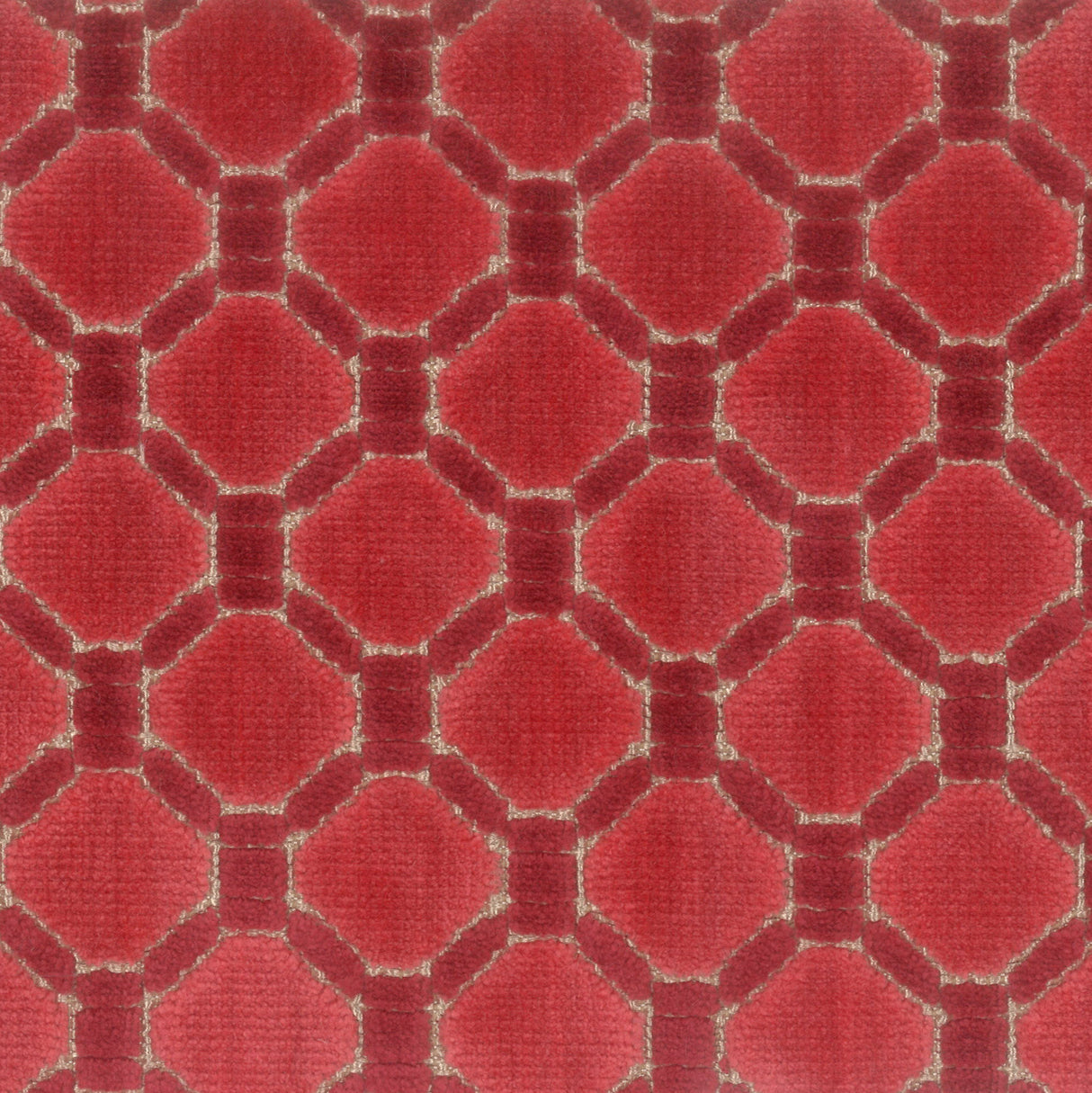 STOUT PRON-1 PRONTO 1 WATERMELON Fabric - Eades Wallpaper & Fabric
