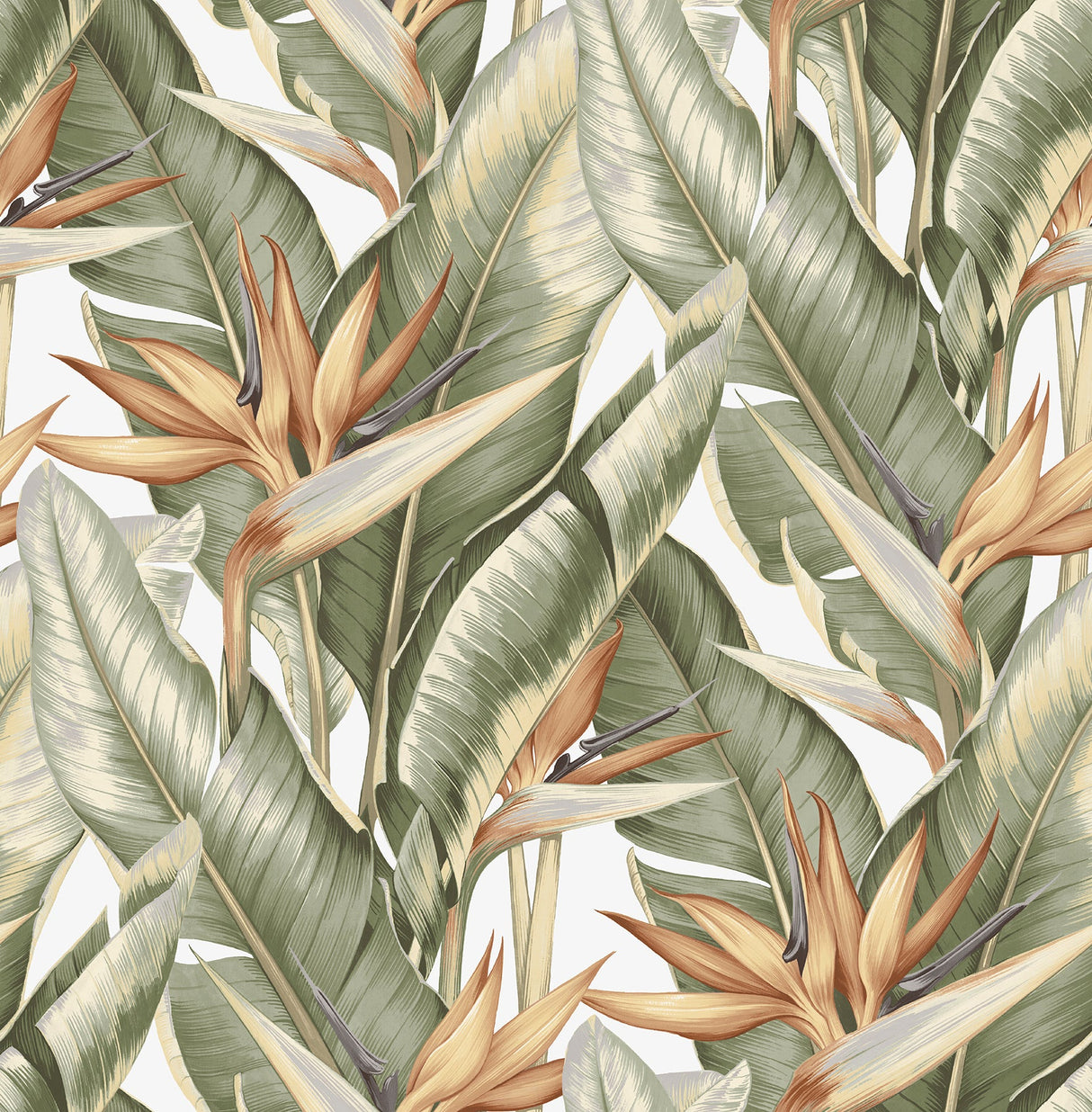 Kenneth James PS40204 Arcadia Light Green Banana Leaf Wallpaper
