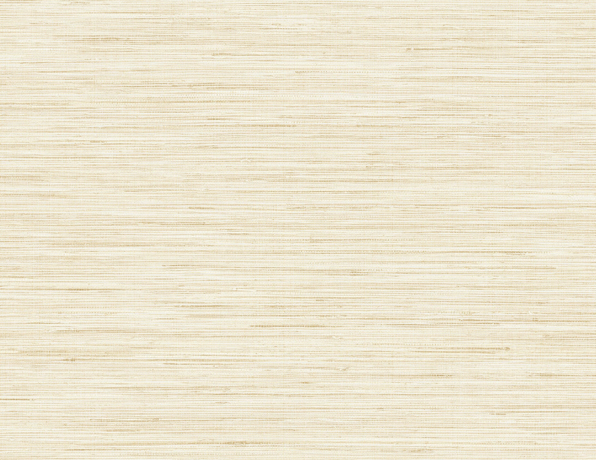 Kenneth James PS41503 Baja Grass Sand Texture Wallpaper