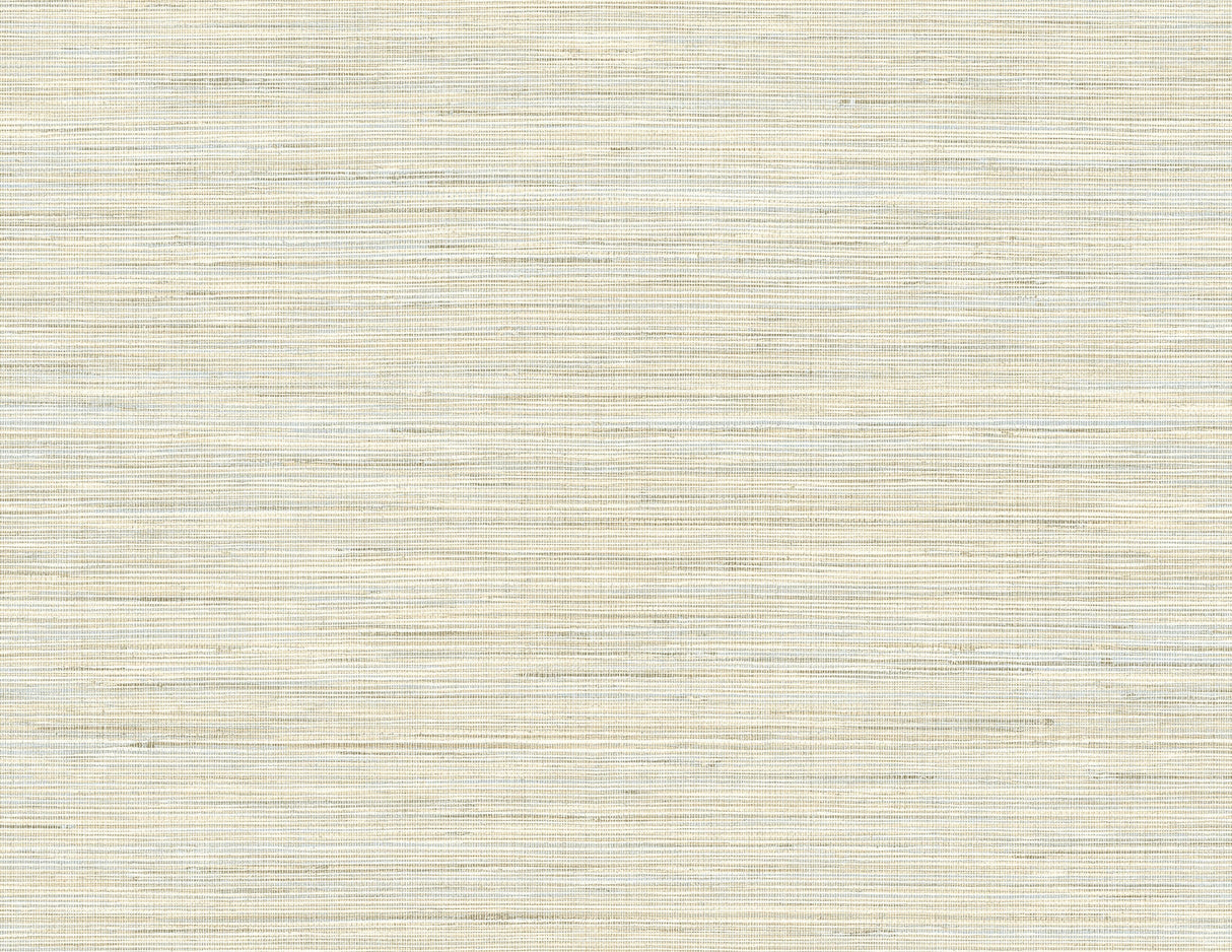 Kenneth James PS41505 Baja Grass Blue Texture Wallpaper
