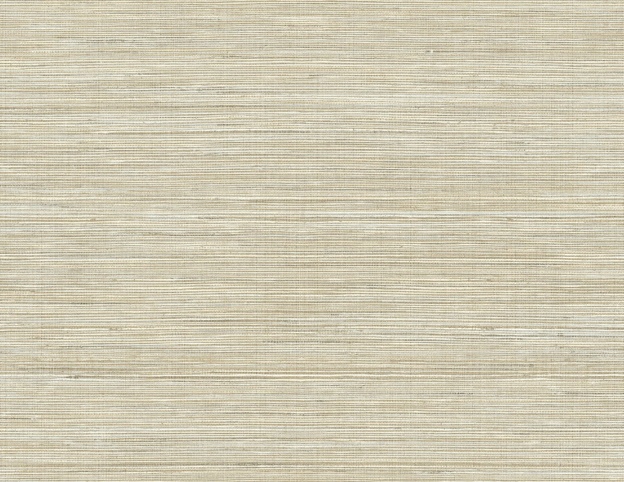 Kenneth James PS41507 Baja Grass Brown Texture Wallpaper