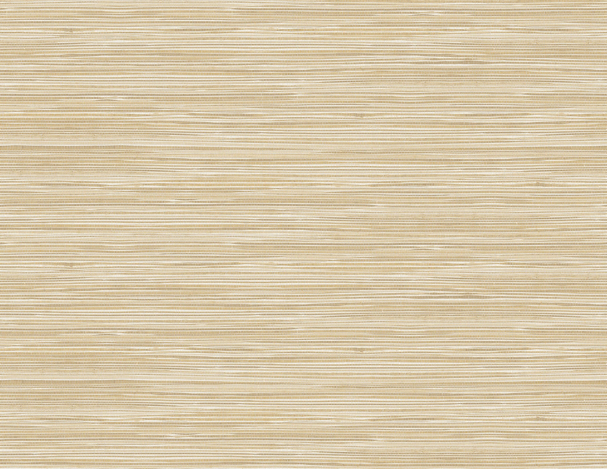 Kenneth James PS41605 Holiday String Beige Texture Wallpaper
