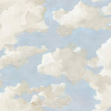 York PSW1079RL Clouds on Canvas Blue Peel & Stick Wallpaper