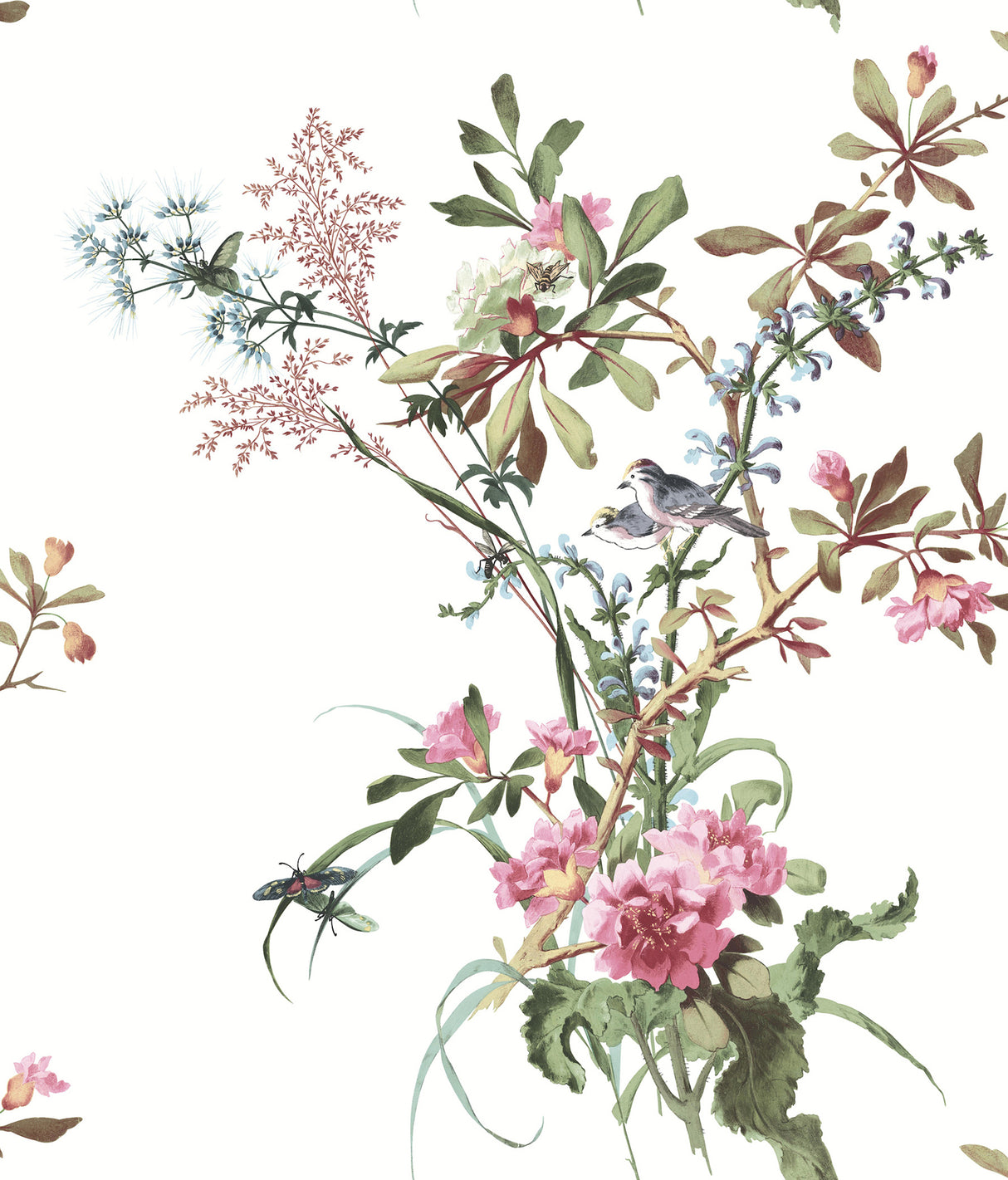Eade’s Wild Flowers Rose