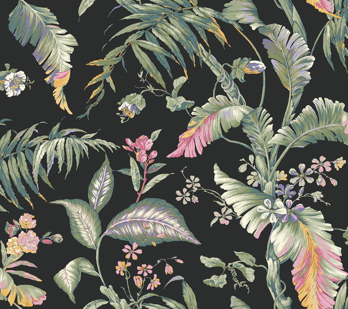 Eade’s Fiji Garden Black