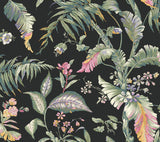 Eade’s Fiji Garden Black