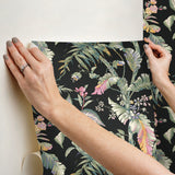 Eade’s Fiji Garden Black