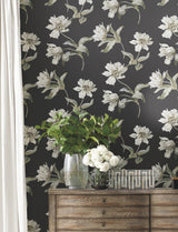 Eade’s Large Parrot Tulip Black