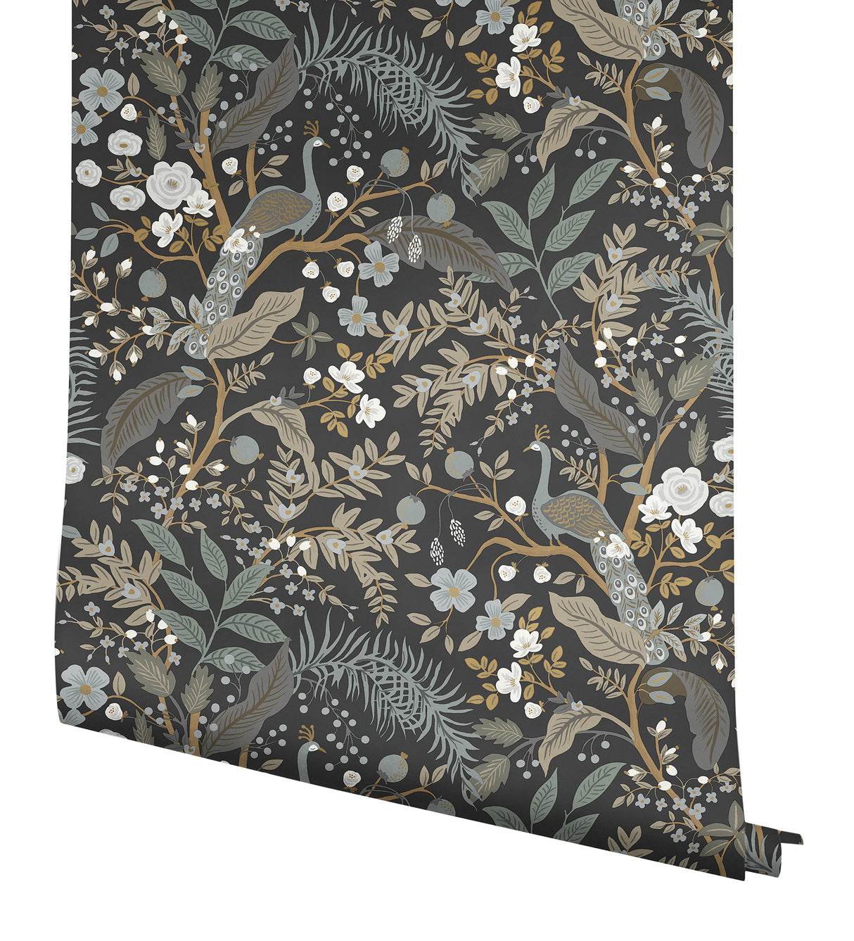 York PSW1537RL Peacock Garden Black Peel & Stick Wallpaper