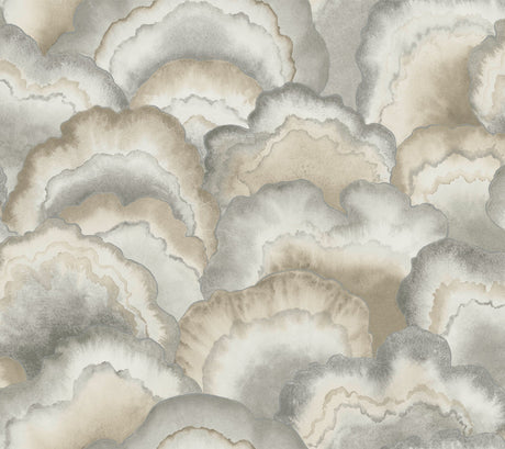 York PSW1615RL Abalone Fans Premium Peel + Stick Wallpaper - Eade's Wallpaper