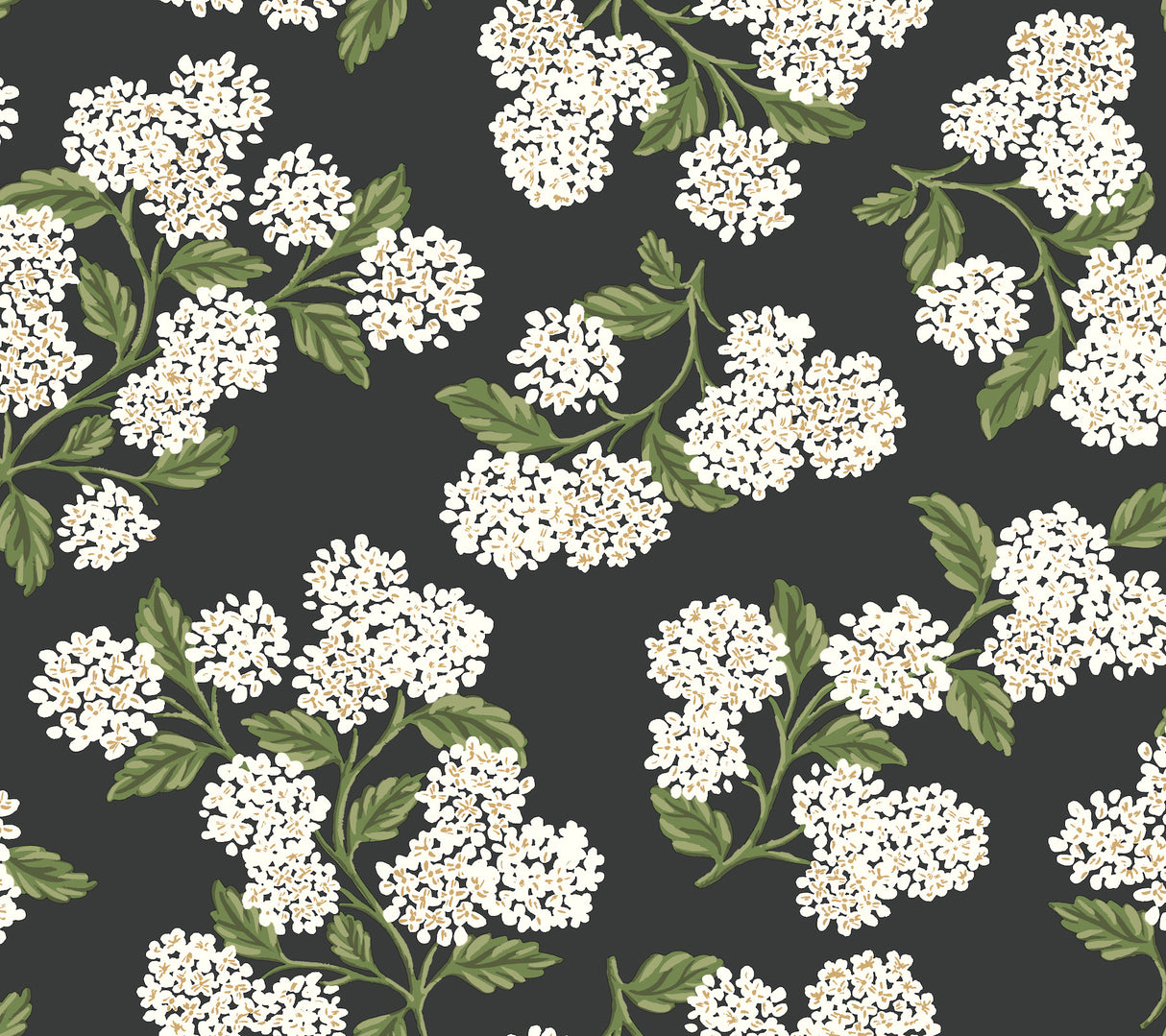 Eade’s Hydrangea Black & White