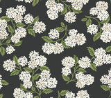 Eade’s Hydrangea Black & White