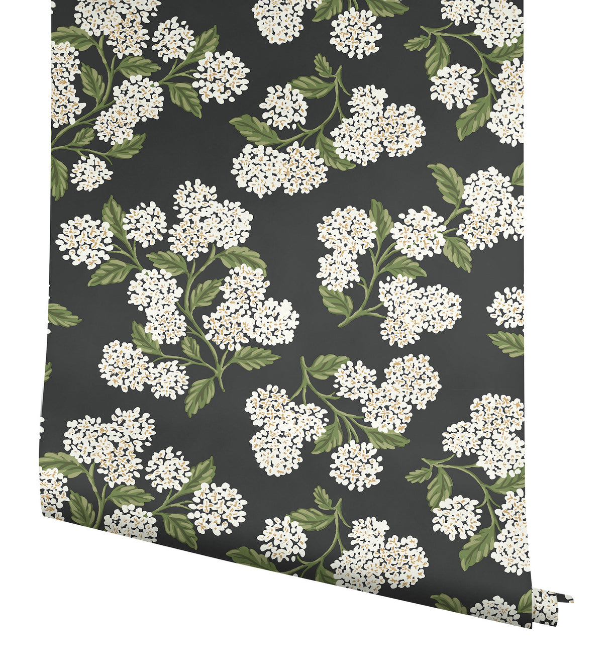 Eade’s Hydrangea Black & White