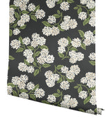 Eade’s Hydrangea Black & White