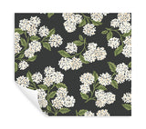 Eade’s Hydrangea Black & White