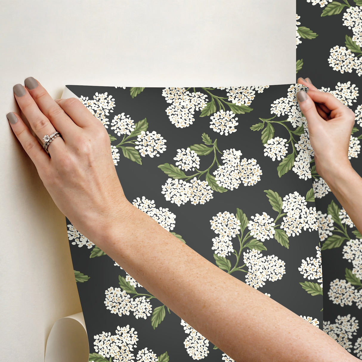 Eade’s Hydrangea Black & White