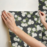Eade’s Hydrangea Black & White