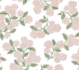 Eade’s Hydrangea Pink & White