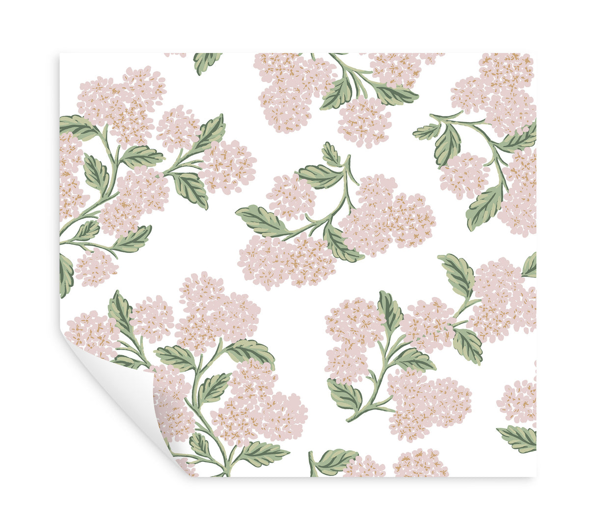Eade’s Hydrangea Pink & White