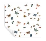 Eade’s Butterfly House White