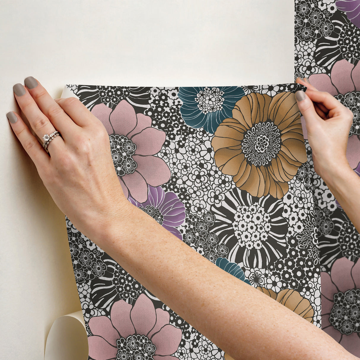 Eade’s Anemones Black
