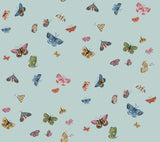 Eade’s Butterfly House Light Blue