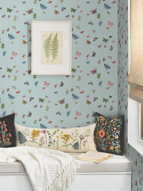 Eade’s Butterfly House Light Blue