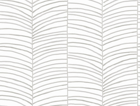 York Wallcoverings PSW1701RL Cascade Palm Grey Chic Tropics 